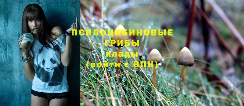 MEGA   Нижнекамск  Галлюциногенные грибы MAGIC MUSHROOMS 